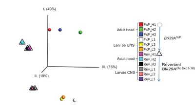 PLoS ONE図.jpg